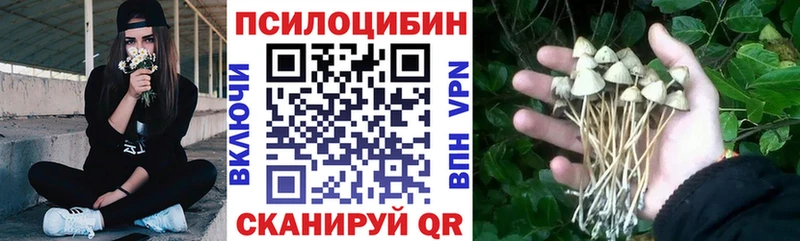 Галлюциногенные грибы прущие грибы  мега онион  Кирсанов 