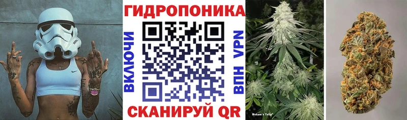Бошки Шишки индика  Кирсанов 
